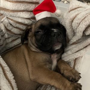 Meet your Posher, Darlene